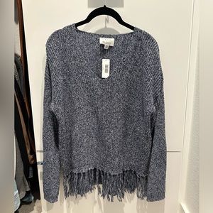 Blue Sweater
